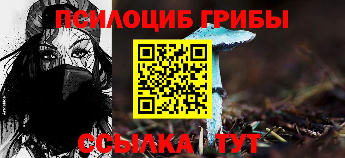 Псилоцибиновые грибы GOLDEN TEACHER Фурманов