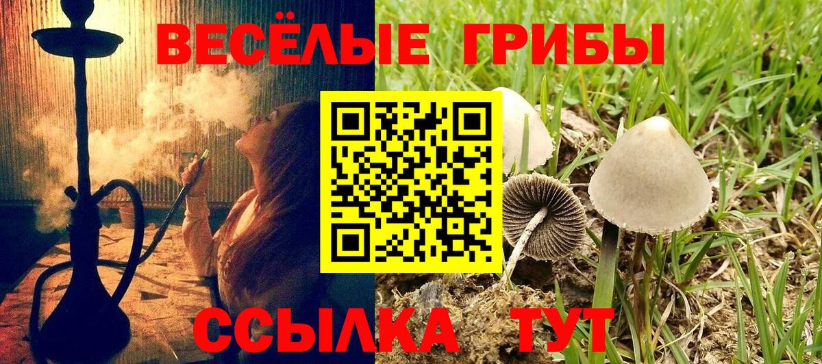 Фурманов  Псилоцибиновые грибы GOLDEN TEACHER  Вход с VPN 